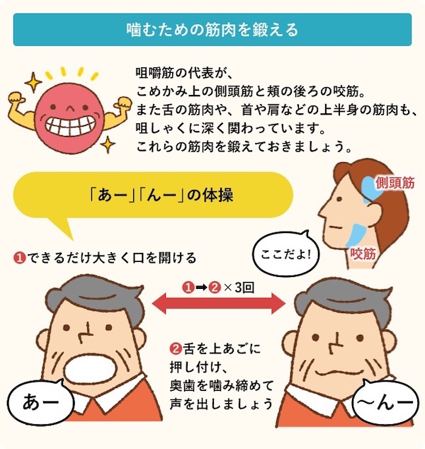 馬車道アイランドタワー歯科｜ブログ｜「健康で長生き」には不可欠！オーラルフレイルって何？｜咀嚼機能の向上訓練のイラスト